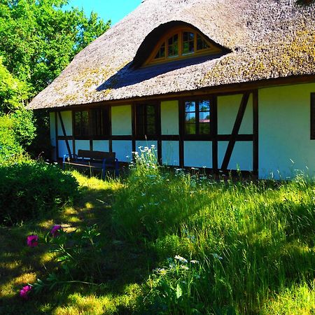 Eulenhof Vorpommern Rossin Екстериор снимка